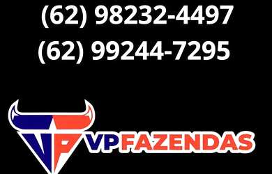 Imagem 15: Oportunidade Fazenda á Venda Município de Bela Vista-GO