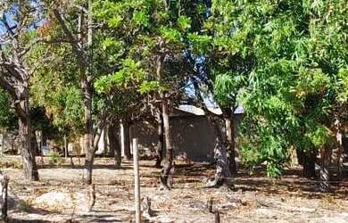 Imagem: O terreno está localizado em Três Marias, MG à venda por