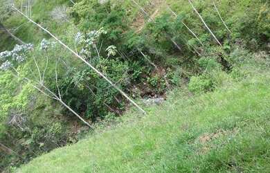 Imagem 16: Fazenda vendo / troco. 9.000m² de Área Privada