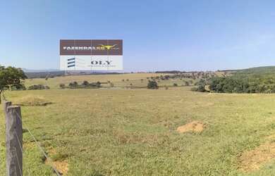 Imagem 2: Fazenda Extra Município de Palestina - GO 175 Alqueires