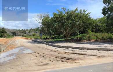 Imagem 12: Terreno Loteamento em Taperapuan - Porto Seguro, BA