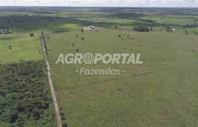 Imagem 9: Fazenda no Pará- Goianésia do Pará - 895 ha 185 alq