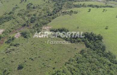 Imagem 10: Fazenda no Pará- Goianésia do Pará - 895 ha 185 alq