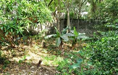 Imagem 7: Casa de condomínio para venda possui 1048 metros quadrados