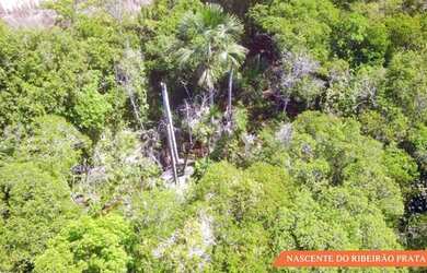 Imagem 13: Fazenda Prata - Porto Nacional - TO 32,54 Alq