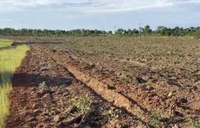 Imagem 3: Fazenda novo acordo Tocantins