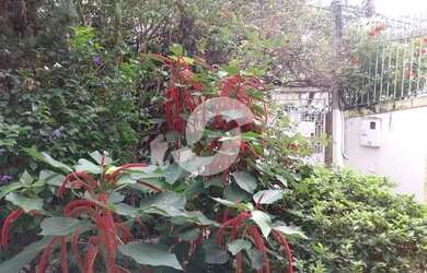 Imagem 2: Casa para venda com 300 metros quadrados com 4 quartos em São Francisco...