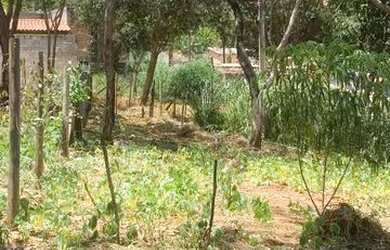 Imagem: O terreno possui 360m² de Área e está localizado em Eldorado