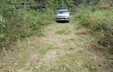 Imagem 3: Fazenda Bela Vista a venda tem 1500 Hectares em Zona Rural - Rio Preto...