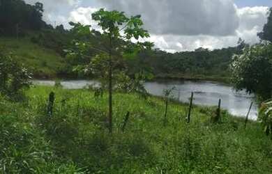 Imagem 2: Fazenda No Sul da Bahia. 23m² de Área