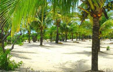 Imagem 9: Área de Praia para Venda em Santa Cruz Cabrália, Santo andré