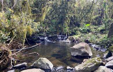 Imagem 8: Urubici - Terreno. 20.000m² de Área