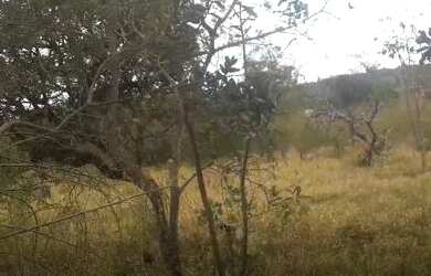 Imagem 5: Terreno Terreno / lote com venda por R$65.000