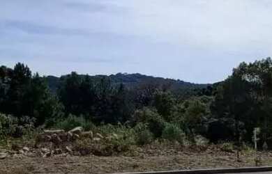 Imagem 3: Terreno - Bairro Dutra. 450m² de Área