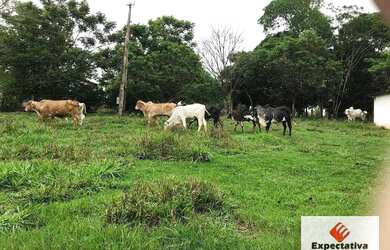 Imagem 2: Fazenda com 3 dormitórios à venda, 484000 m² por R$ 1.300.000,00 -...