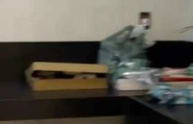 Imagem 6: Alto Padrão Jardim Palmeiras/Financia