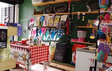 Imagem 2: Vende se Pet Shop bem localizado e com boa clientela no bairro Sion