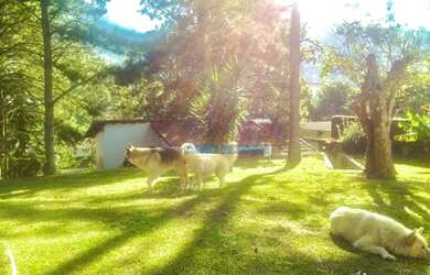 Imagem 4: Casa à venda, 212 m² por R$ 1.220.000,00 - Agriões - Teresópolis/RJ