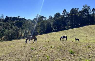 Imagem: A chácara possui 10.000m² de Área e está localizado em