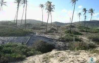 Imagem 15: TERRENO EM CONDE- BA. 77017m² de Área