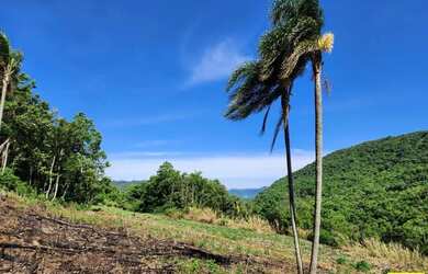 Imagem 5: Sítio / Chácara para Venda em Nova Petrópolis, Fazenda Pirajá
