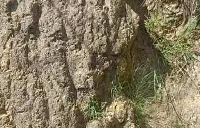 Imagem 6: Terreno à venda, 406 m² por R$ 138.000,00 - Maria Paula - Niterói/RJ