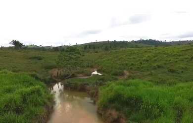 Imagem 7: Fazenda em Altamira - Pará - 470 Alqueires - Acesso de Asfalto