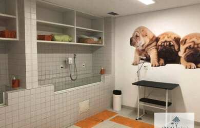 Imagem 13: Apartamento com 3 dormitórios à venda, 118 m² por R$ 905.000 - Lauzane Paulista - São Paul