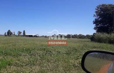Imagem 2: Fazenda Produtiva em Porangatu-GO / 92 Alq. 445 Há