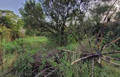 Imagem 9: Terreno - Urubici SC. 3.300m² de Área