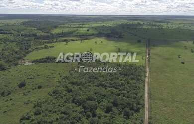 Imagem 4: Fazenda no Pará- Goianésia do Pará - 895 ha 185 alq