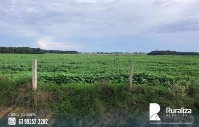 Imagem 5: Fazenda em exploração agrícola no vale do Araguaia TO