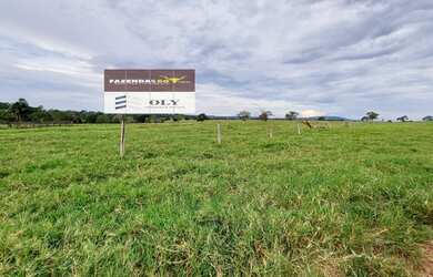 Imagem 10: Fazenda Extra Município de Palestina - GO 175 Alqueires