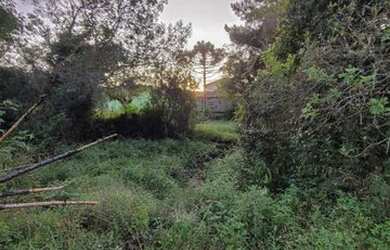 Imagem 10: Terreno - Urubici SC. 3.300m² de Área