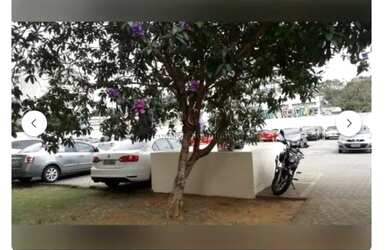 Imagem 7: SAO PAULO - Apartamento Padrão - CAMBUCI