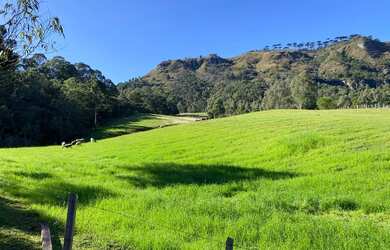 Imagem 16: Terreno - Urubici