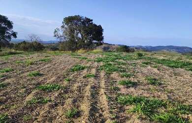 Imagem 3: Lote/Terreno para venda com 500 metros quadrados em Vila Santista - Atibaia...