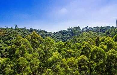 Imagem 4: SANTANA DE PARNAÍBA - Apartamento Padrão - TAMBORÉ