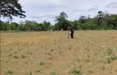 Imagem 2: Terreno em abadiania Goiás, terreno de 5mil metros quadrado