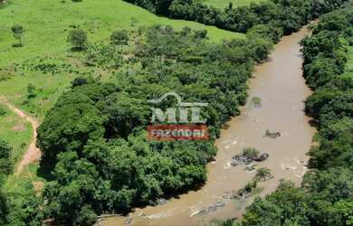 Imagem 13: Beira Rio - Chácara 1.36 alqueires 66.000 metros Santa Cruz de Goiás