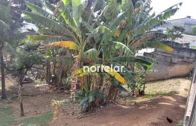 Imagem 8: Terreno à venda, 295 m² por R$ 669.000,00 - Pirituba - São Paulo/SP