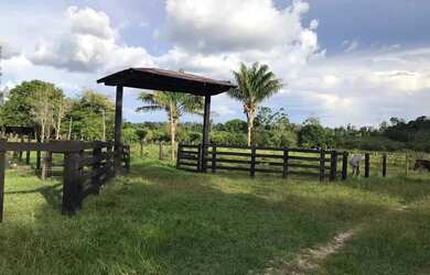 Imagem 12: Vende-se Fazenda - Iracema - RR