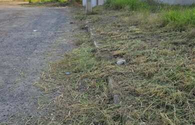 Imagem: O terreno possui 245m² de Área e está localizado em Jardim