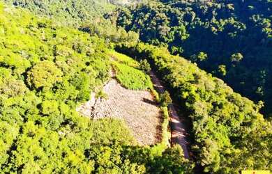 Imagem 7: Sítio / Chácara para Venda em Nova Petrópolis, Arroio Paixão