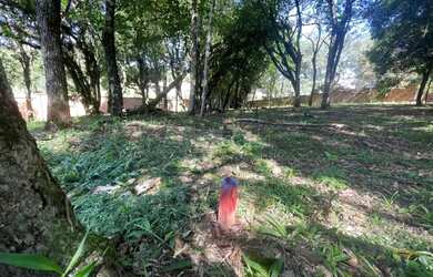 Imagem 5: Terreno São Virgílio Caxias do Sul