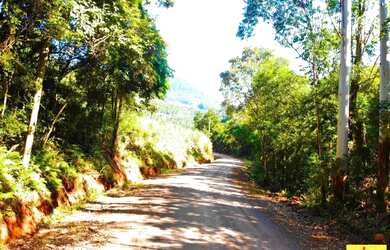 Imagem 4: Sítio / Chácara para Venda em Nova Petrópolis, Arroio Paixão