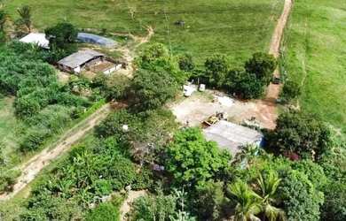 Imagem 9: LINDA FAZENDA DE 44 HECTARES A 45 km de Brasília