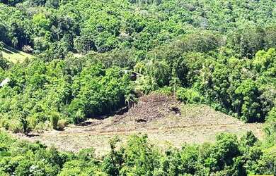 Imagem 8: Sítio / Chácara para Venda em Nova Petrópolis, Fazenda Pirajá