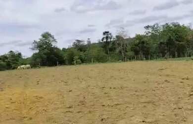 Imagem 3: Terreno em abadiania Goiás, terreno de 5mil metros quadrado