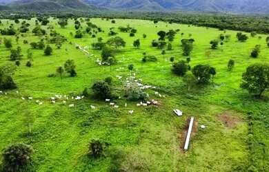 Imagem: A fazenda possui 981m² de Área e está localizado em Distrito